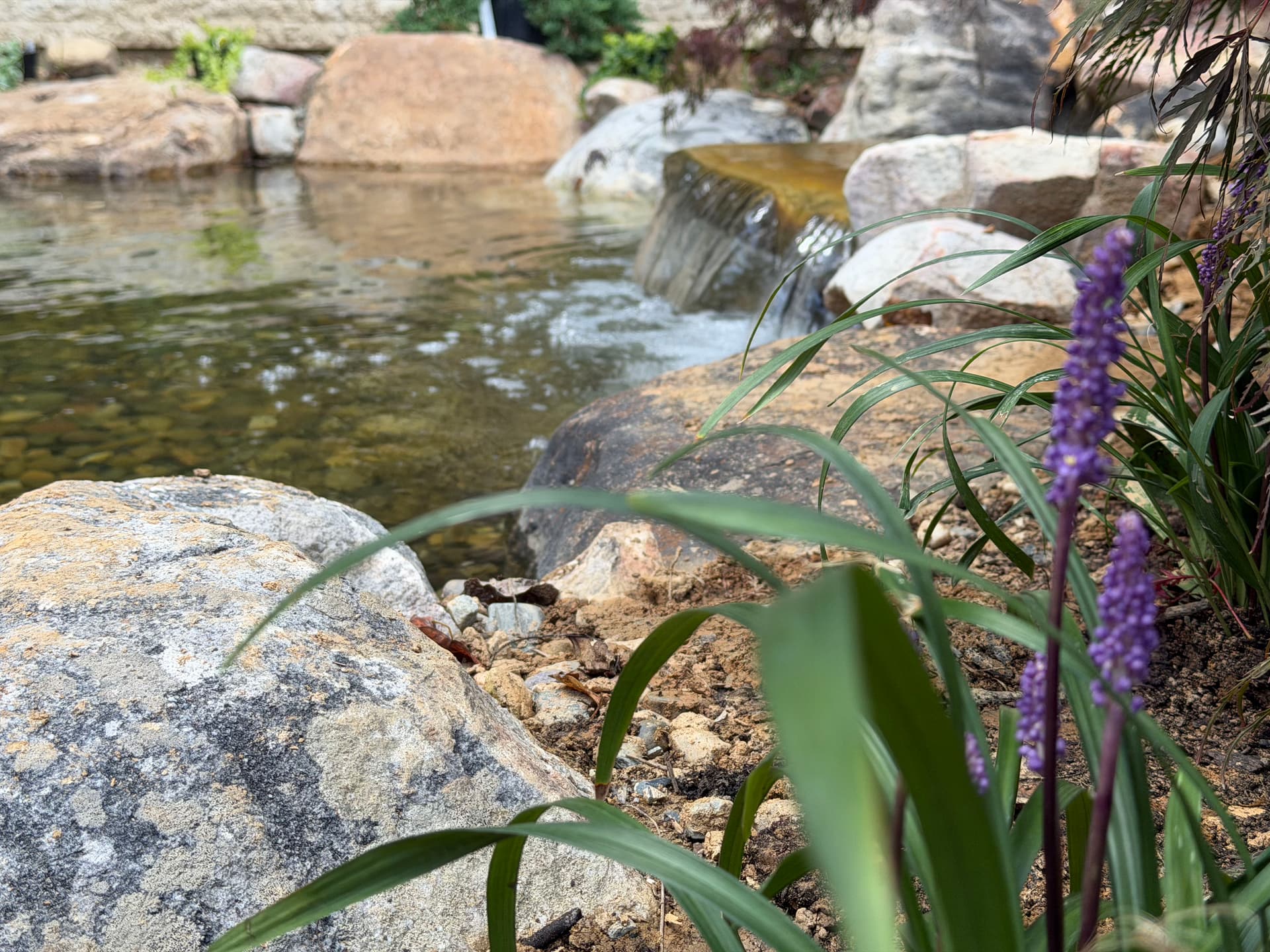 Gallery photos for Potomac Pond Construction Taking Shape with Waterfalls and Plantings: Image #1