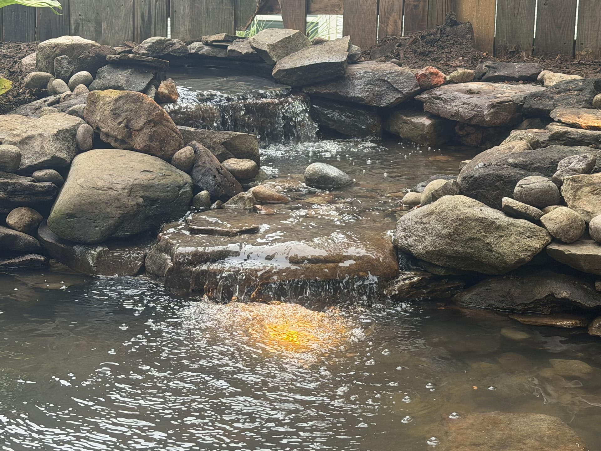 Gallery photos for Micro Pond with Waterfall Built in a Fairfax Backyard: Image #1