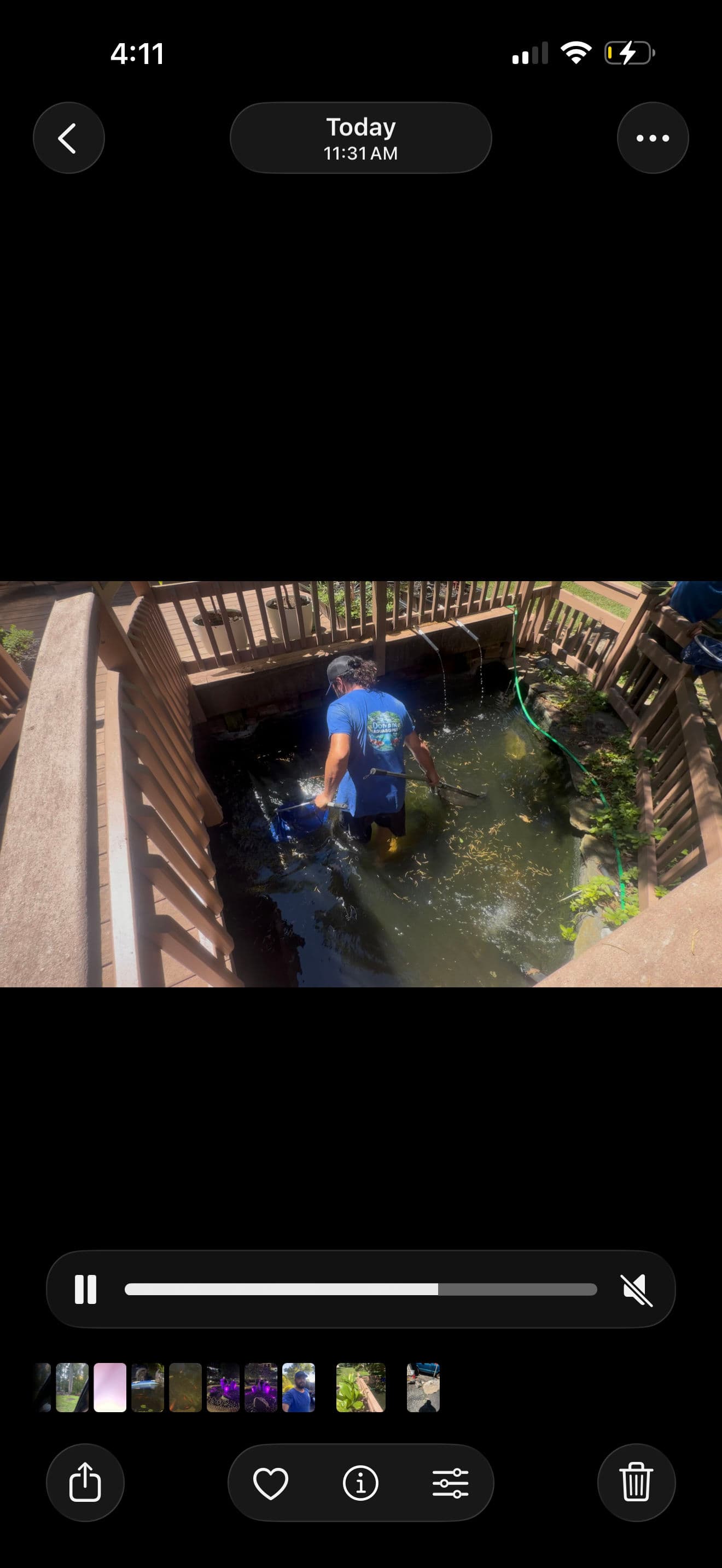 Gallery photos for We're Hiring in Northern Virginia - Join the Domain Aquascapes Team: Image #2