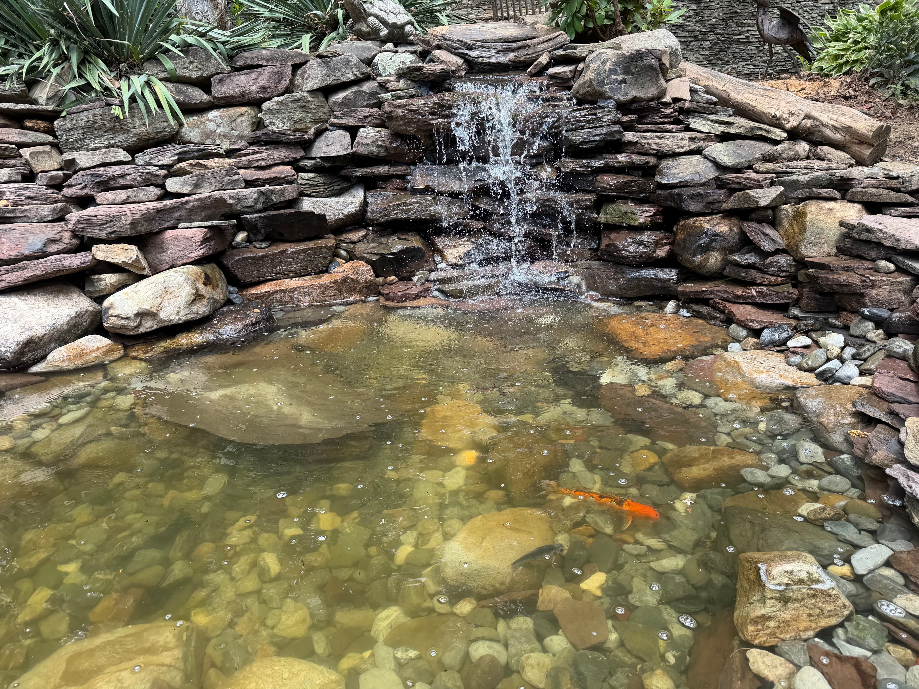 Project Pond Liner Replacement Done Right in Woodbridge image