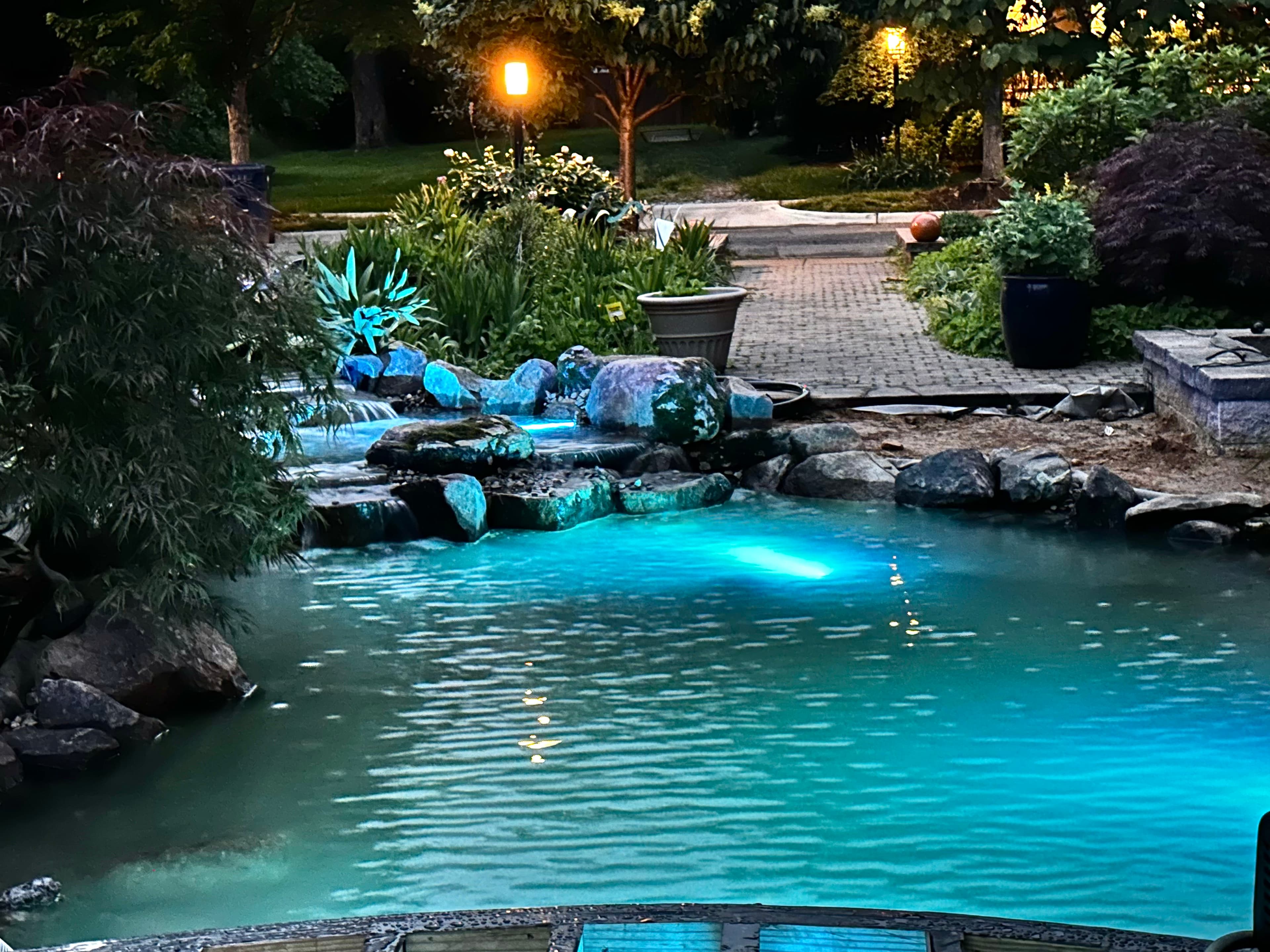 Project 3,500-Gallon Koi Pond Built from the Ground Up image