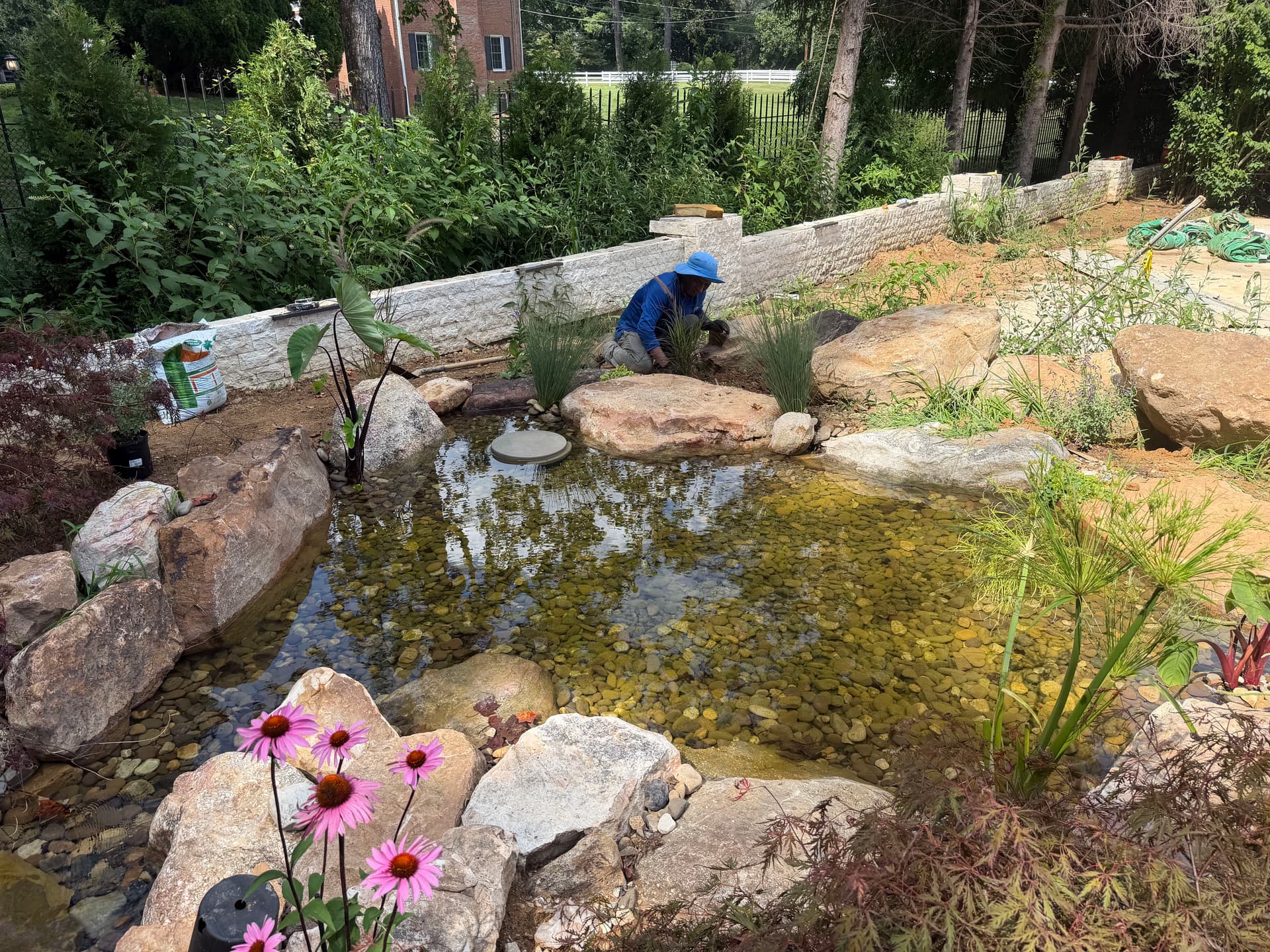 Gallery photos for Potomac Pond Construction Taking Shape with Waterfalls and Plantings: Image #3