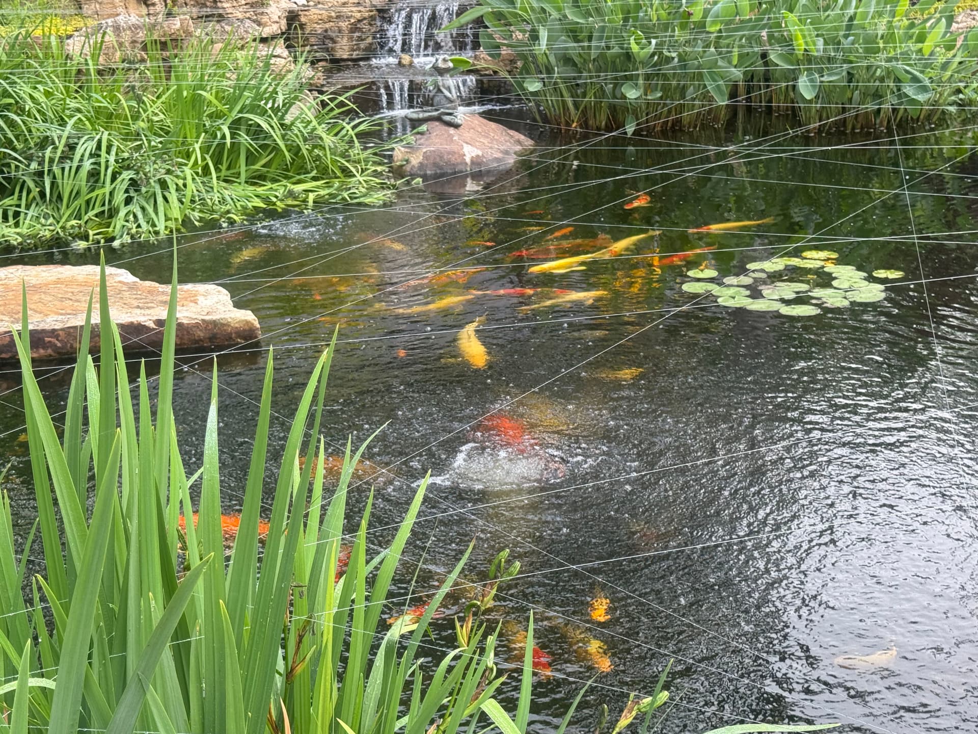 Backyard Water Features That Actually Make You Stop and Breathe