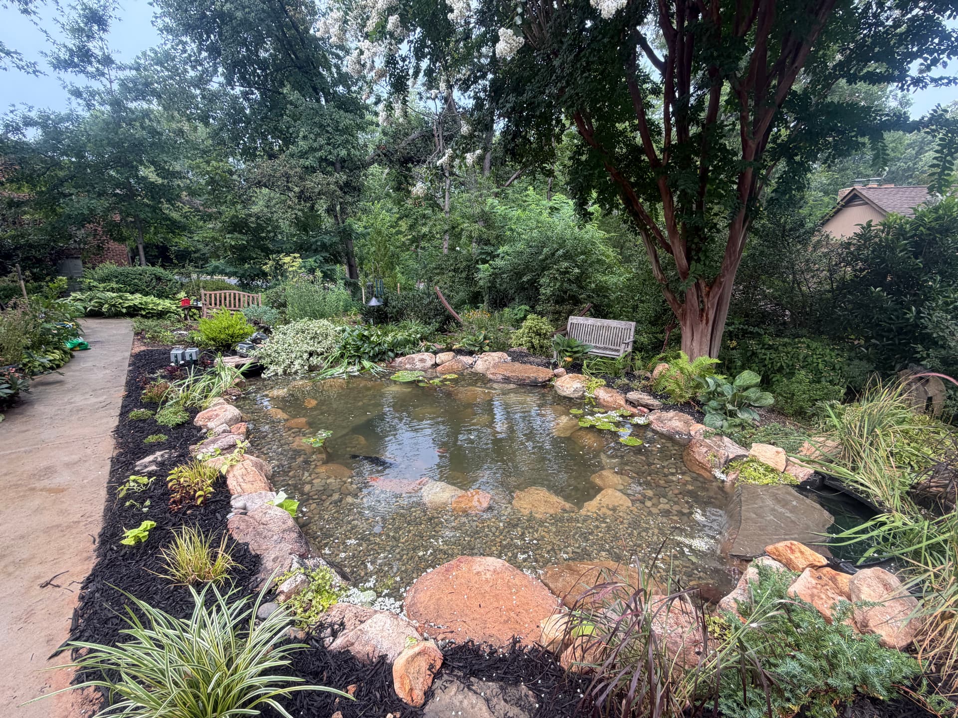 Koi Pond Construction Built From Scratch in Alexandria image