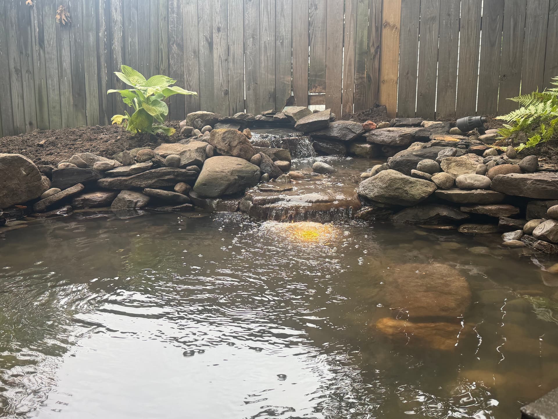 Gallery photos for Micro Pond with Waterfall Built in a Fairfax Backyard: Image #2