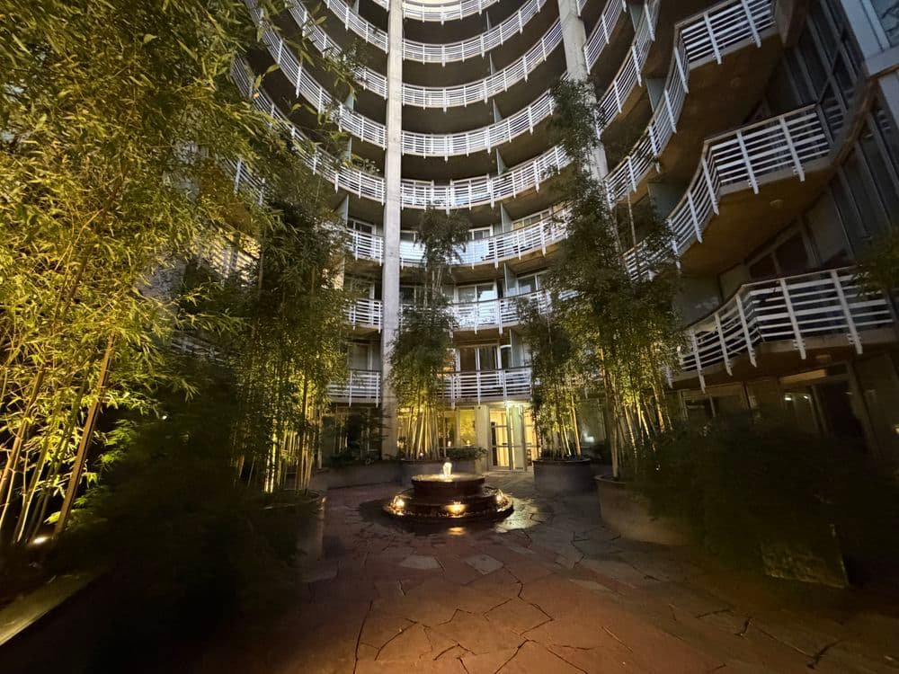 Interior courtyard of modern building featuring bamboo, stone path, and central fire pit.