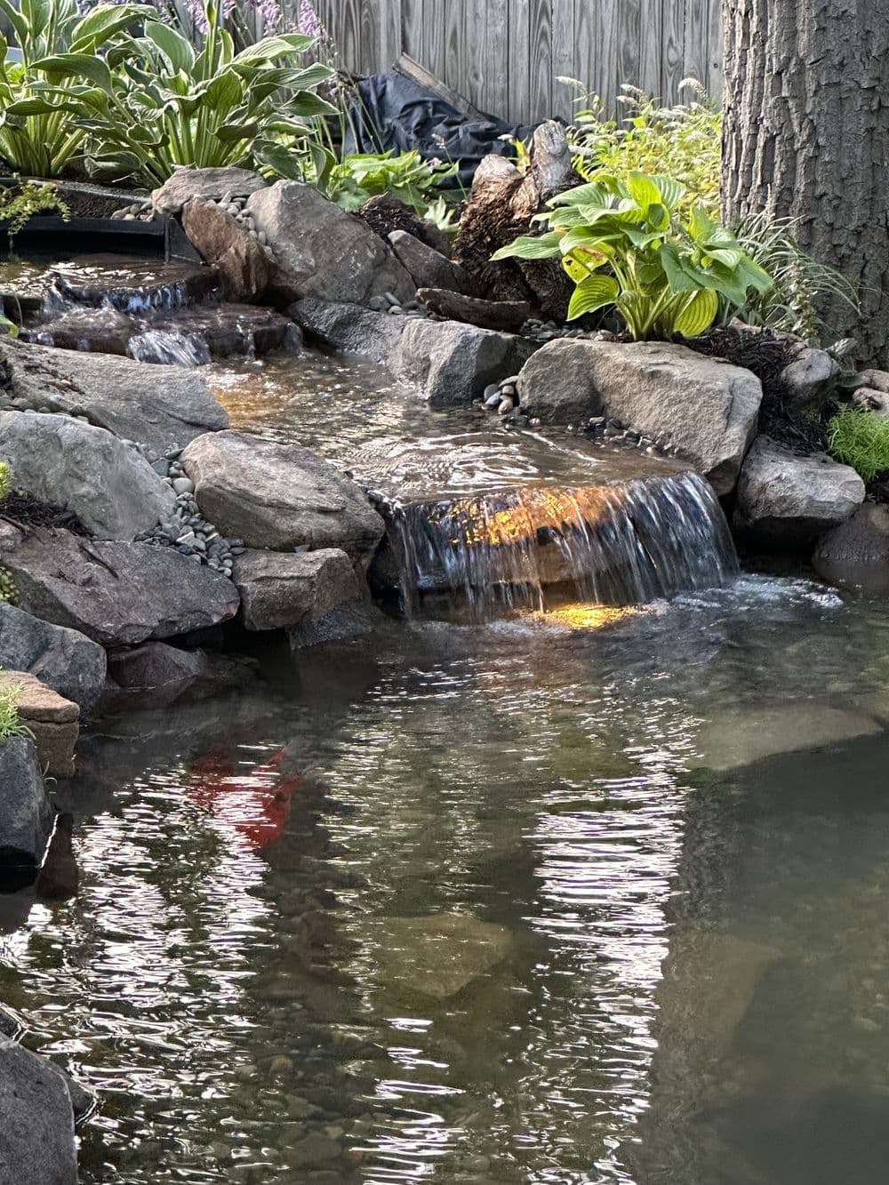 Serene garden pond with cascading waterfalls and lush green plants.