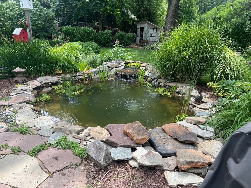 Serene garden pond surrounded by rocks, plants, and lush greenery in a tranquil setting.