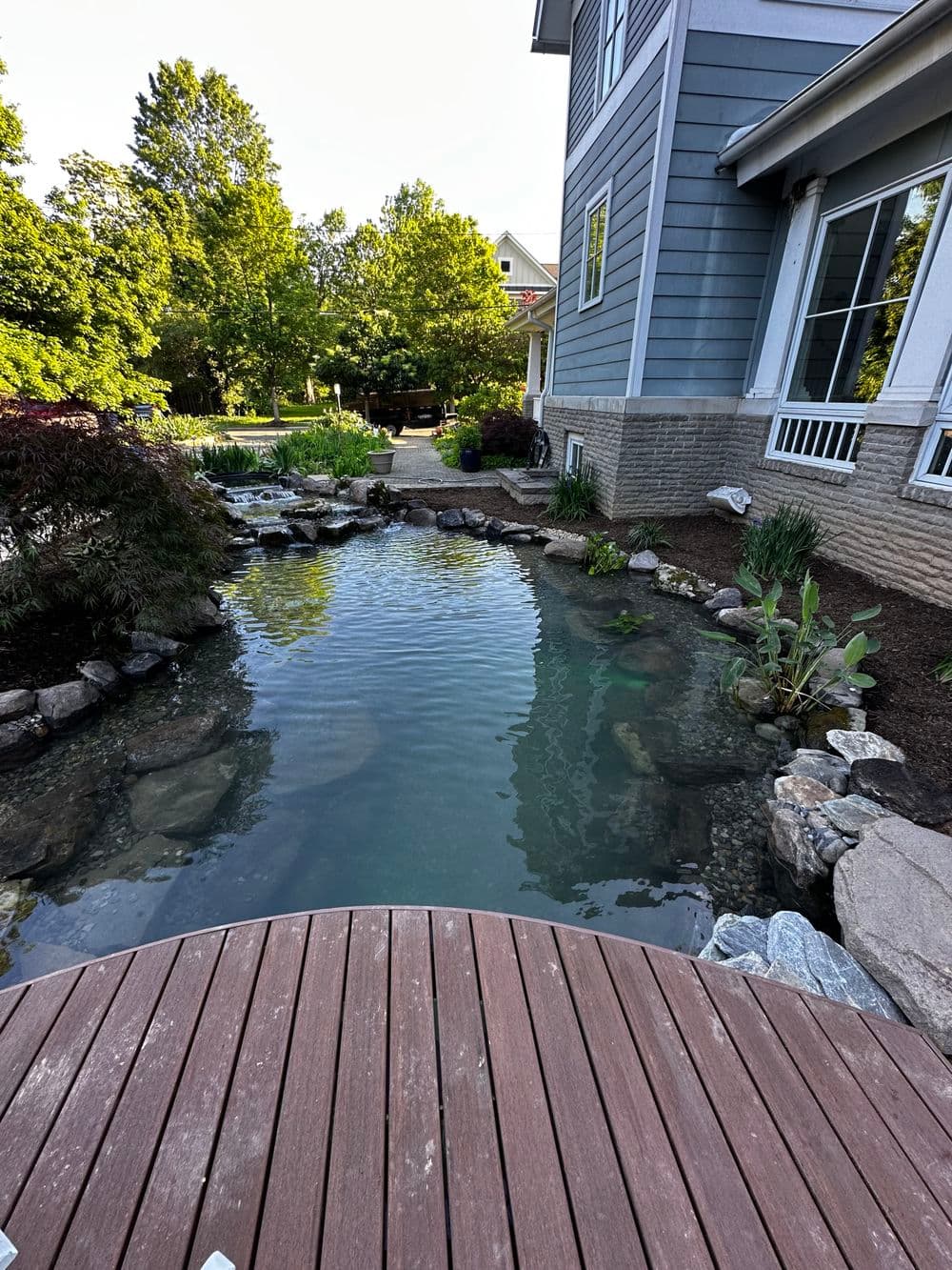 Tranquil backyard pond with rocks and lush greenery beside a house.