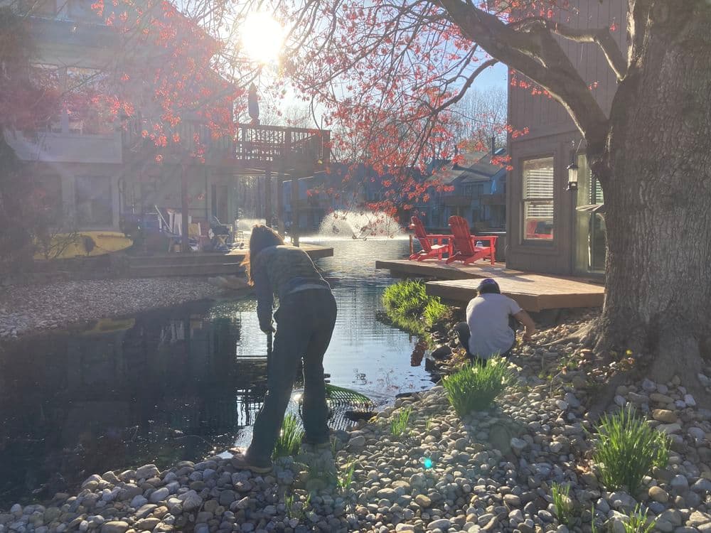Person gardening by a serene pond with blooming flowers and sunny reflections.