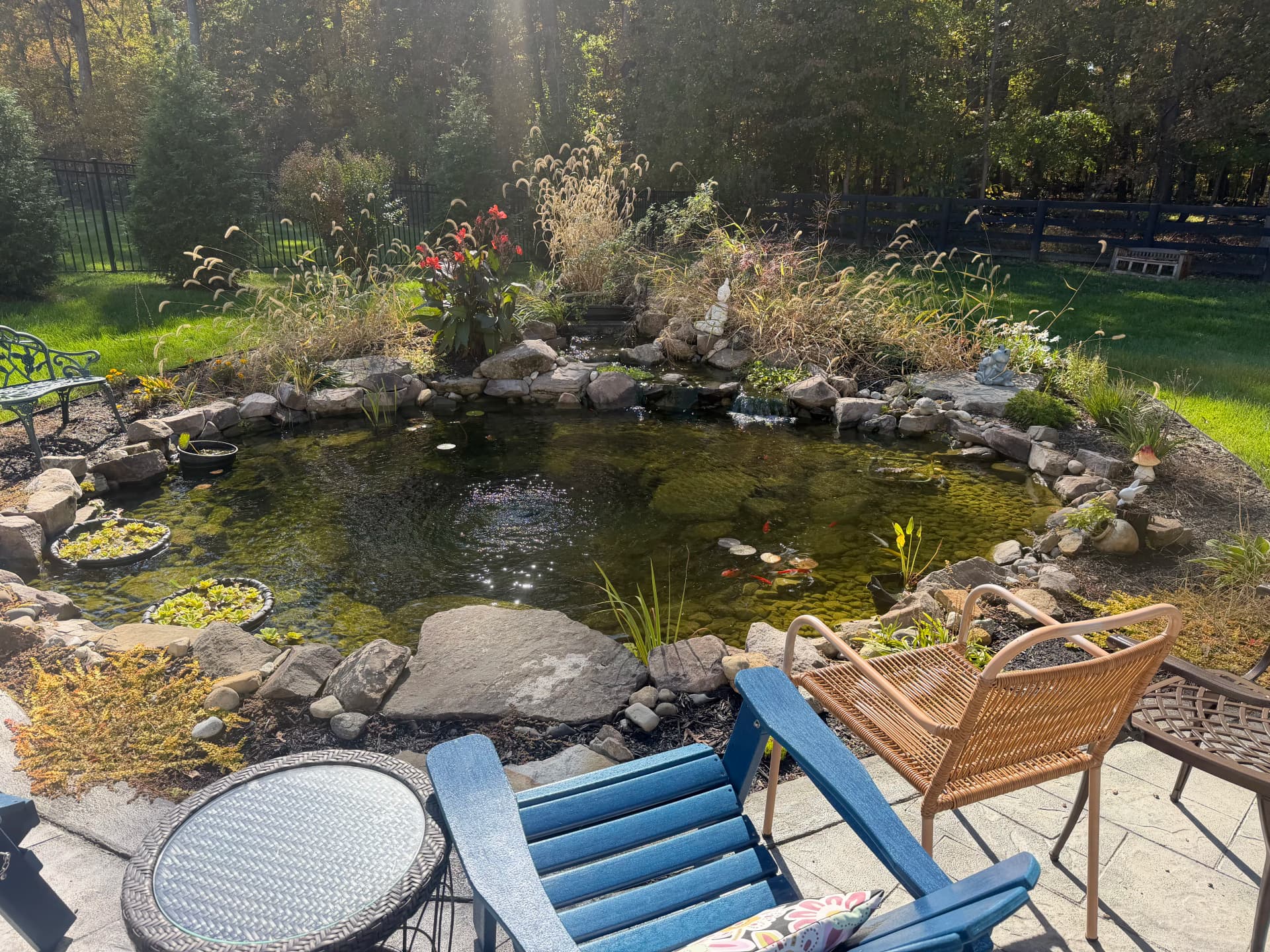 Gallery photos for This Herndon Koi Pond Is Already Feeling Like Home: Image #2