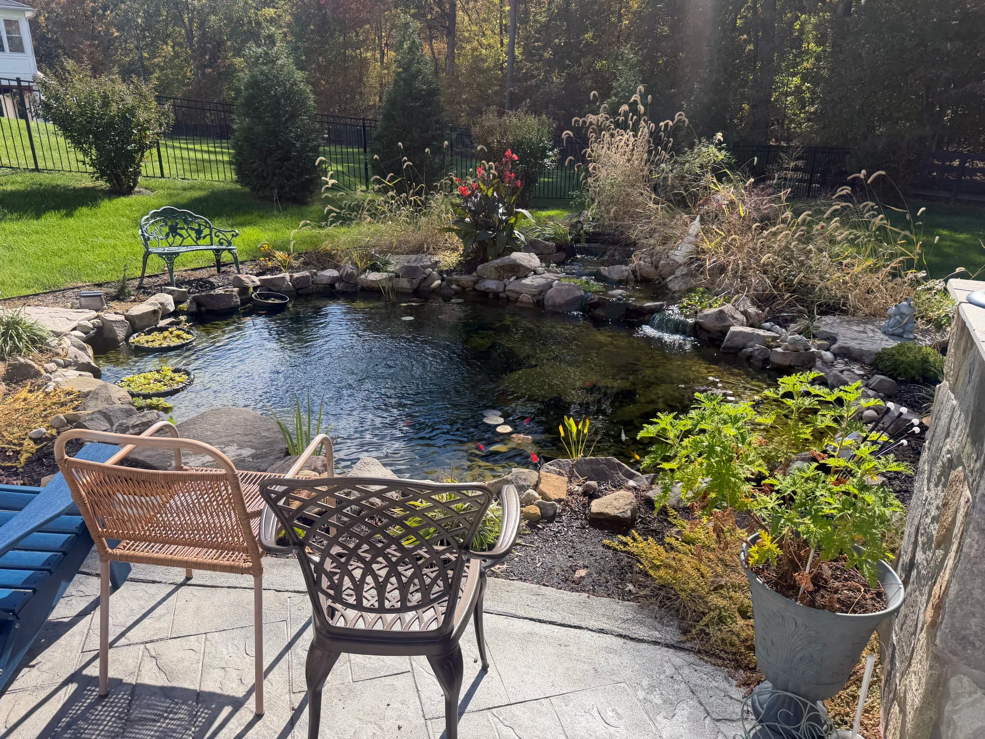 Gallery photos for This Herndon Koi Pond Is Already Feeling Like Home: Image #1