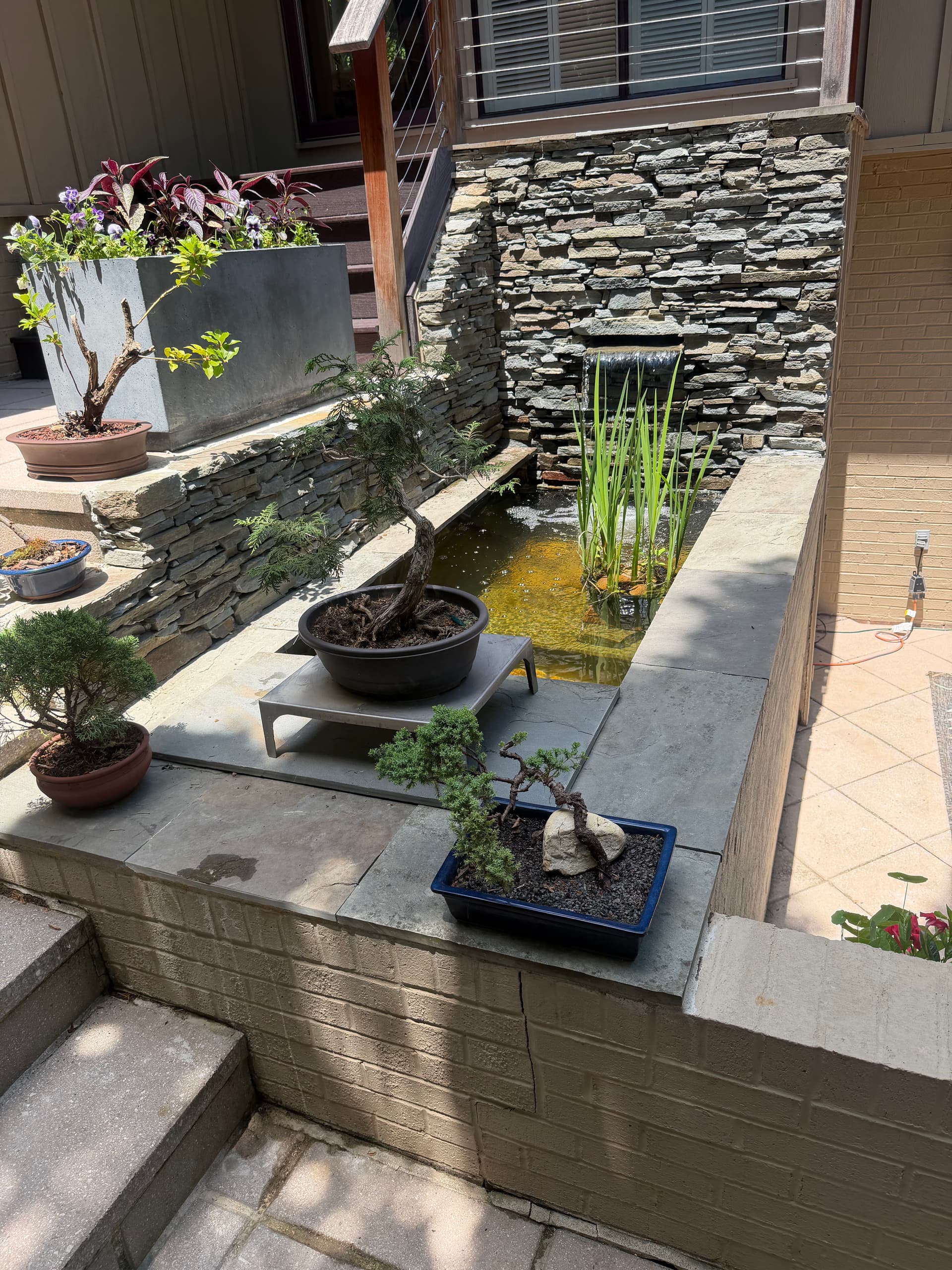 Gallery photos for Koi Pond with Waterfall Wall Built for Alexandria Patio: Image #1