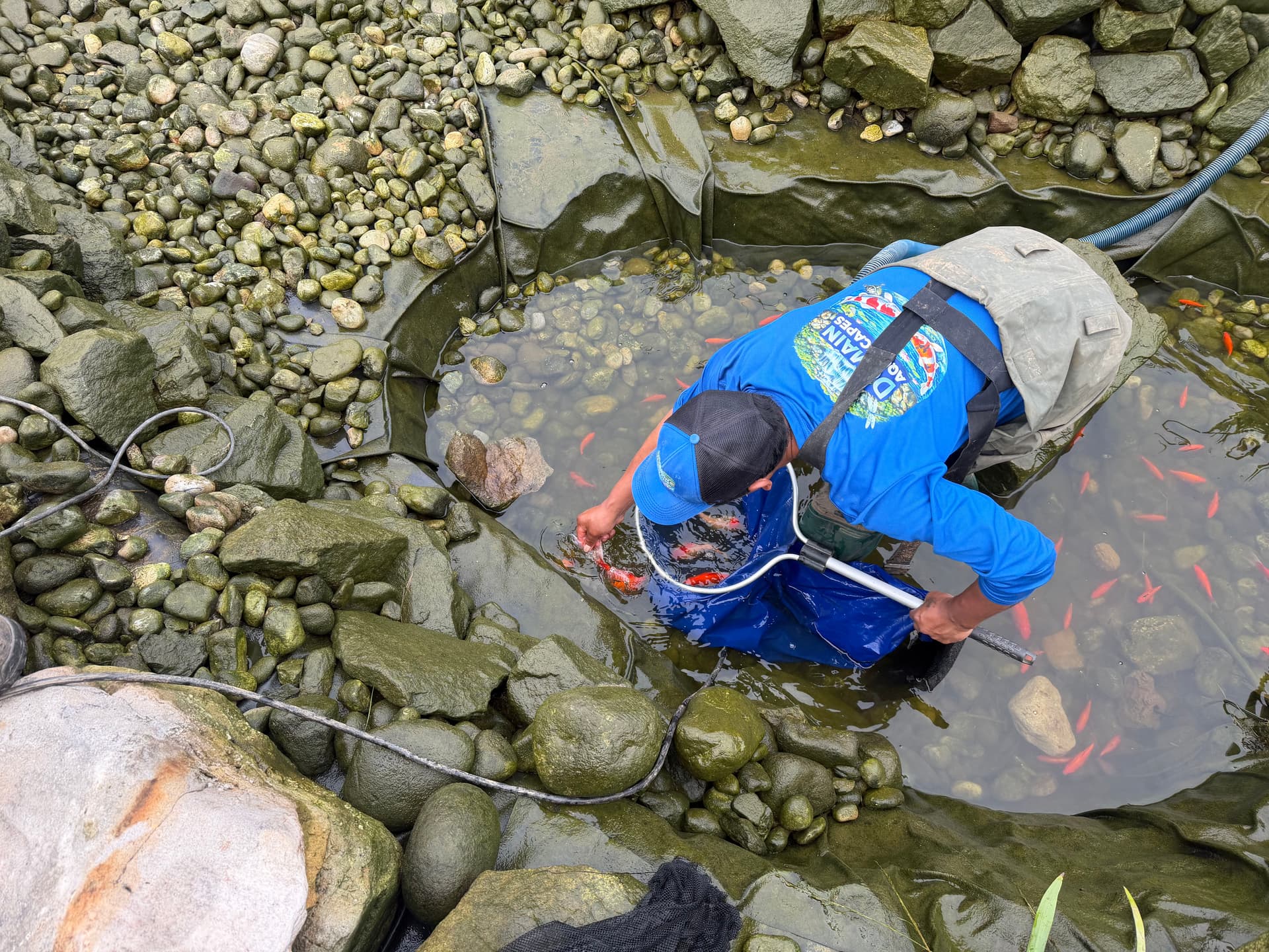 Gallery photos for Pond Clean Out and Upgrades Underway in Nokesville: Image #1